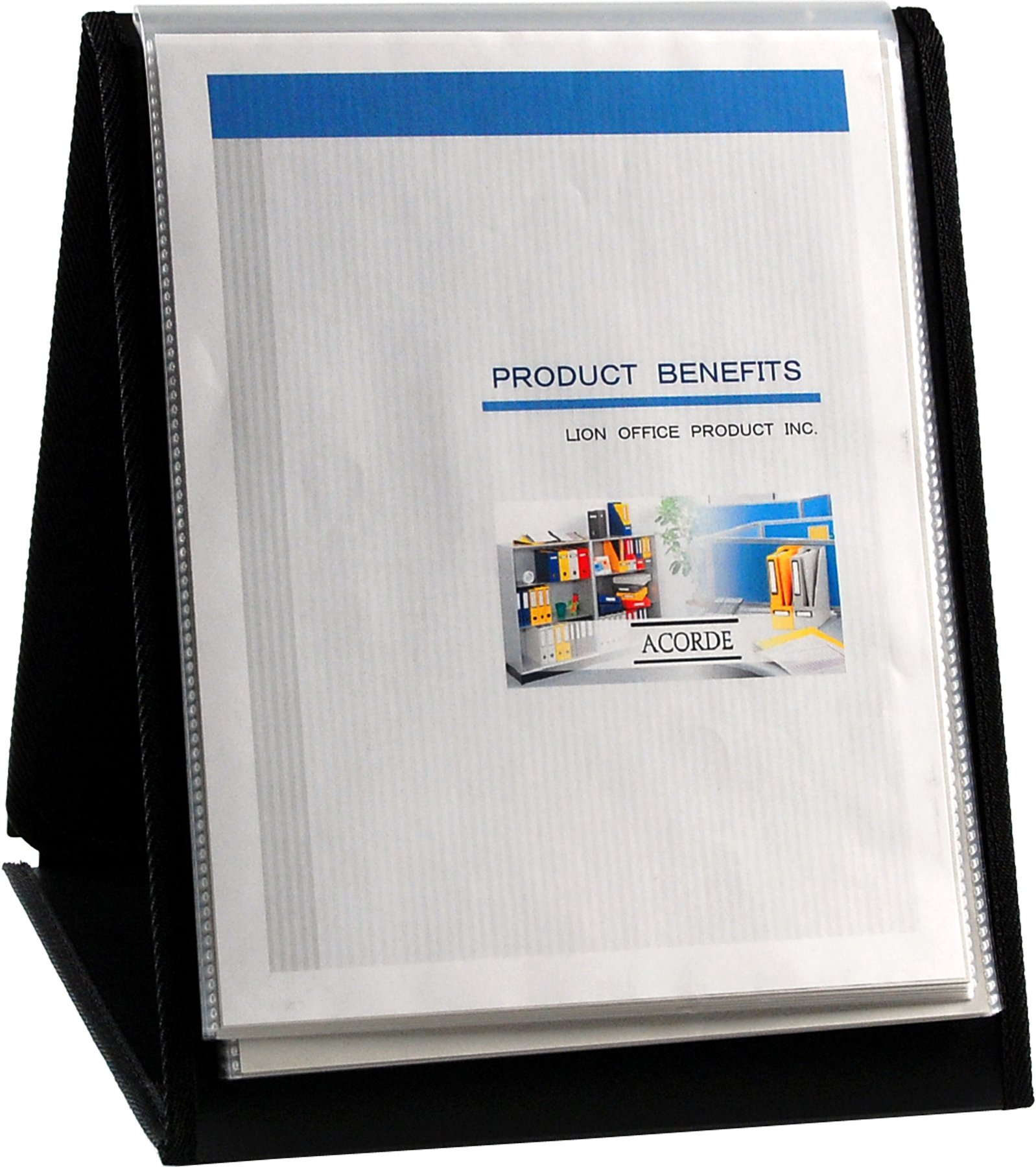 Amazon.com: Lion Flip-N-Tell Display Book-N-Easel, Letter, 20